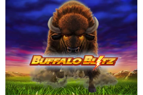 Buffalo Bitz